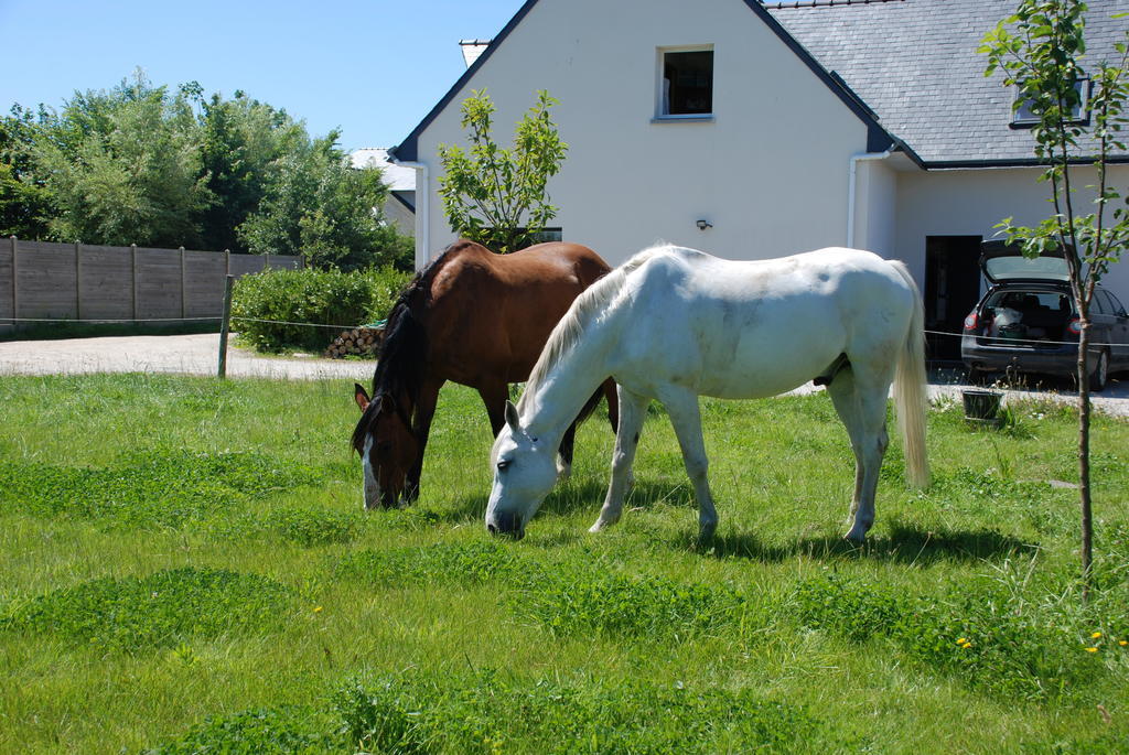 Roulotte Gites O Bien-Etre Massage Spa Sejour Bien-Etre En Hebergement Insolite Roulotte Karantez Ou En Gites Melon Ou Yock A 800 M Des Plages Maison D'Hote Drogou Porspoder Cameră foto
